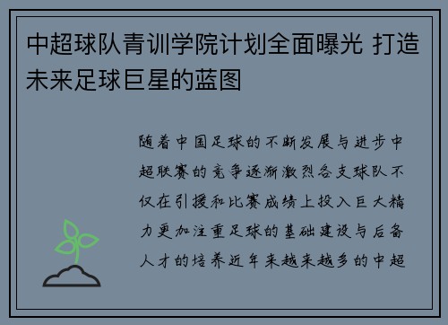 中超球队青训学院计划全面曝光 打造未来足球巨星的蓝图