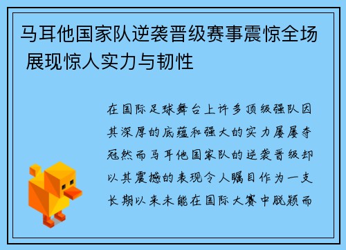 马耳他国家队逆袭晋级赛事震惊全场 展现惊人实力与韧性