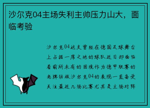沙尔克04主场失利主帅压力山大，面临考验