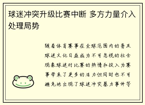 球迷冲突升级比赛中断 多方力量介入处理局势